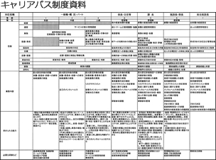 キャリアパス制度資料